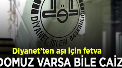 Diyanet duyurdu; " Aşıda domuz proteini varsa bile caizdir"