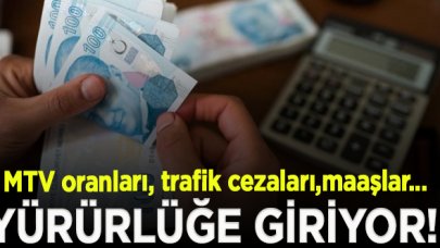 Yeni yılla birlikte yürürlüğe giriyor! MTV oranları, trafik cezaları ve maaşlar artacak