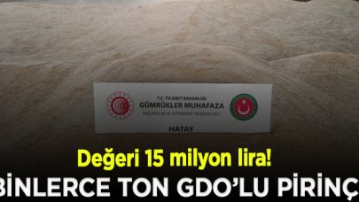 Binlerce ton genetiği değiştirilmiş pirinç ele geçirildi