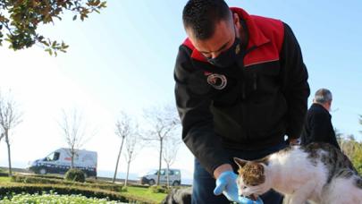 Kartal Belediyesi, 4 günlük kısıtlamada sokak hayvanlarını unutmadı