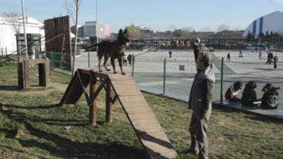 Küçükçekmece’de köpeklere özel ‘pati park’