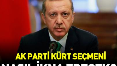 AK Parti Kürt seçmeni nasıl ikna edecek?