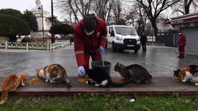 Sokağa çıkma kısıtlamasında sokak hayvanları unutulmadı