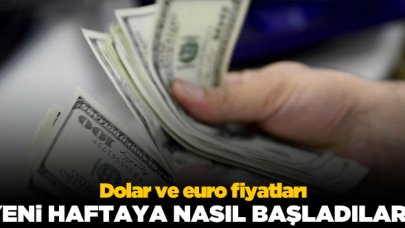 Dolar ve euro kaç lira? 18 Ocak Pazartesi döviz fiyatları