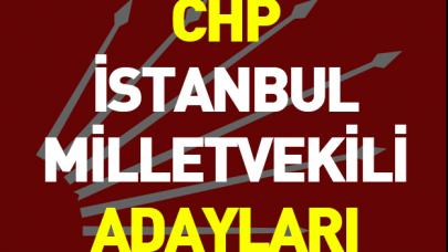 24 Haziran Seçimleri CHP İstanbul Milletvekili Adayları - Tam Liste