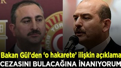 Bakan Gül'den Süleyman Soylu'nun annesine hakaret açıklaması: En ağır cezayı bulacağına inanıyorum