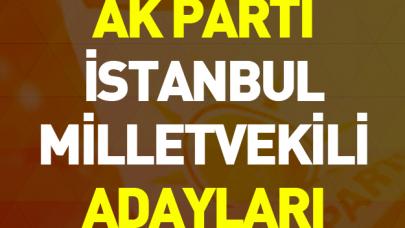 24 Haziran Seçimleri Ak Parti İstanbul Milletvekili Adayları - Tam Liste