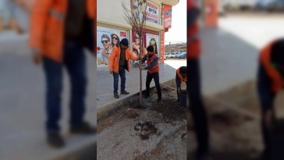 Semaverde çay yapmak için ağaç kestiler! O anlar kameralara yansıdı