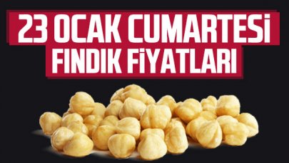 23 Ocak Cumartesi fındık fiyatları | Fındık kaç lira?