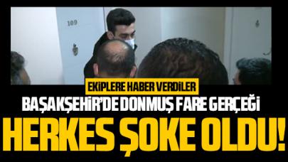 Başakşehir'de donmuş fare gerçeği şoke etti!