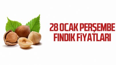 28 Ocak Perşembe fındık fiyatları | Fındık kaç lira?