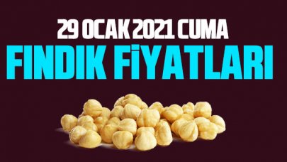 29 Ocak Cuma fındık fiyatları | Fındık kaç lira?