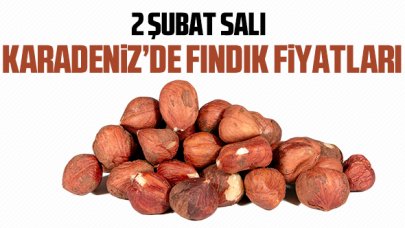 2 Şubat Salı fındık fiyatları | Fındık kaç lira?