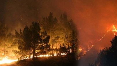 Kastamonu’da yangın paniği