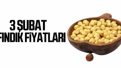 3 Şubat Çarşamba fındık fiyatları | Fındık kaç lira?