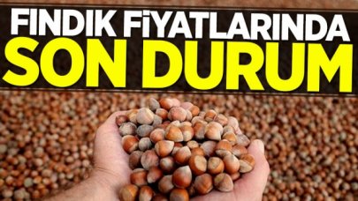 Fındığın kilosu kaç lira? İşte 5 Şubat Cuma güncel fındık fiyatları