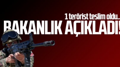 Milli Savunma Bakanlığı: 1 terörist teslim oldu