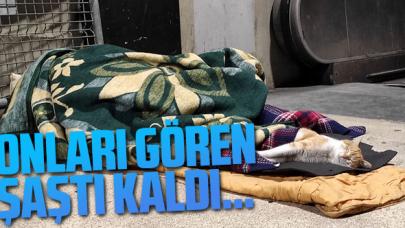 Kedi ile battaniyesini paylaştı... Taksim'de yürekleri ısıtan görüntü