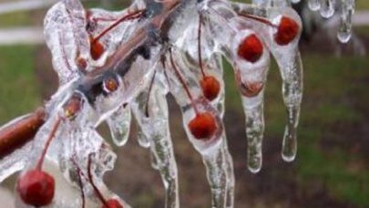 Meteoroloji'den 7 ile zirai don uyarısı