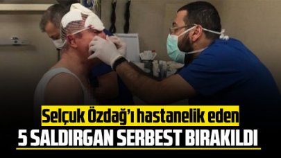 Gelecek Partisi Genel Başkan Yardımcısı Selçuk Özdağ'a saldıran 5 kişi serbest bırakıldı