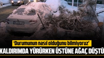 Kaldırımda yürüyen kadının üzerine ağaç devrildi