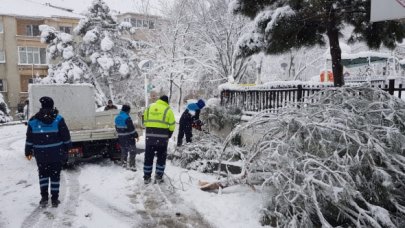 Kara karşı koordinasyon