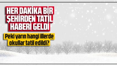 Her dakika bir şehirden kar tatili haberi geldi. Okullar hangi illerde tatil?