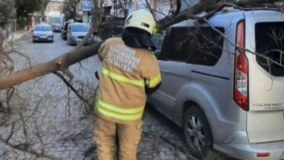 İzmir'de yine fırtına etkili oldu; ağaçlar devrildi, çatılar uçtu