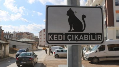 Belediyeden "kedi çıkabilir" tabelası