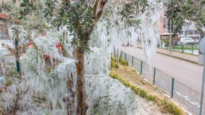 Hortumundan fışkıran su, ağaçlarda sarkıt oluşturdu