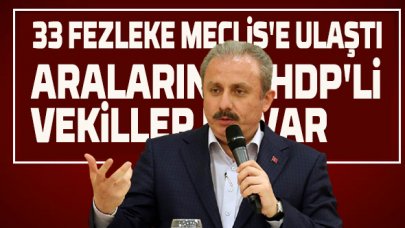 33 fezleke Meclis'e ulaştı, içinde HDP'li milletvekilleri de var