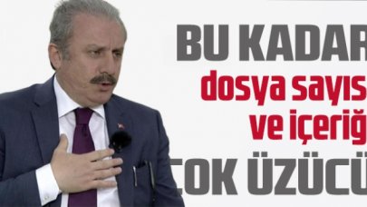 TBMM Başkanı Şentop: Fezlekelerle ilgili bundan sonraki görev karma komisyonlarda