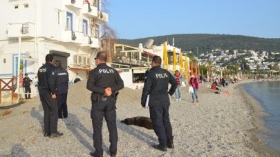 Bodrum'un sahillerinde 'piknik' yapmak artık yasak!