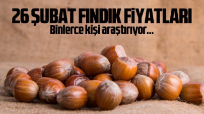 Fındık kaç lira? 26 Şubat 2021 Cuma serbest piyasada fındık fiyatları