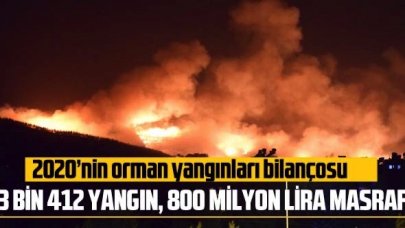 2020'de orman yangınları bilançosu: 800 milyon lira maliyet