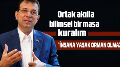 İmamoğlu: Dünyada “yasak orman” diye bir kavram yok