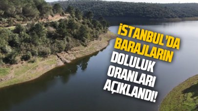 İstanbul'daki barajların doluluk oranları açıklandı