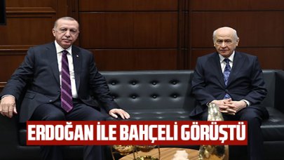 Cumhurbaşkanı Erdoğan MHP lideri Bahçeli'yle görüştü