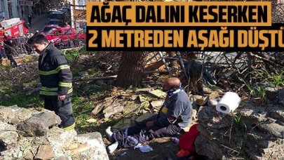 Aydın'da bir işçi ağacı keserken dalla birlikte 2 metreden yere düştü