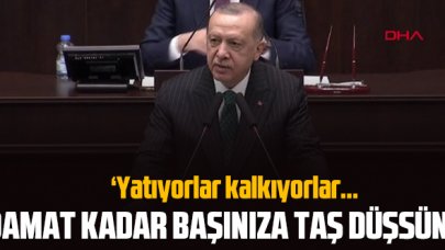 Cumhurbaşkanı Recep Tayyip Erdoğan: Damat kadar başınıza düşsün