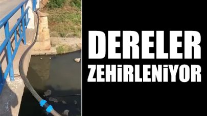 Silivri'de dereler zehirleniyor