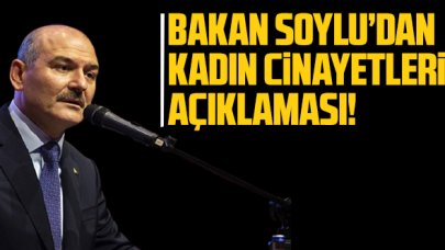 Bakan Soylu'dan 'kadın cinayetleri' açıklaması!