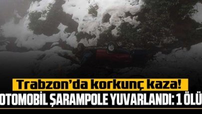 Otomobil şarampole yuvarlandı: 1 ölü