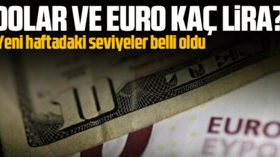 Dolar ev Euro kaç lira? 22 Mart Pazartesi döviz fiyatları