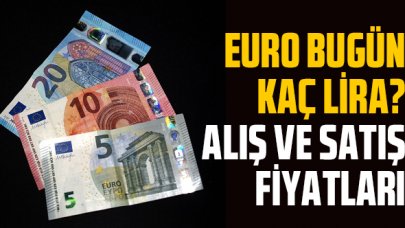 23 Mart Salı Euro kaç lira? Euro alış ve satış fiyatları