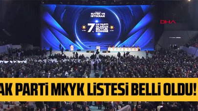 Son dakika: AK Parti'nin MKYK listesi açıklandı