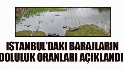 İstanbul'daki barajların doluluk oranları yüzde 70'e yaklaştı