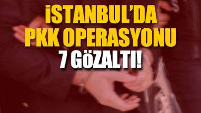 İstanbul'daki PKK operasyonunda 7 gözaltı