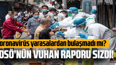 DSÖ ekibinin Vuhan raporu sızdı: Virüs yarasadan bulaşmadı mı?