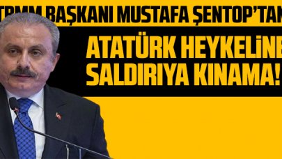 TBMM Başkanı Mustafa Şentop'tan Atatürk heykeline saldırıya kınama